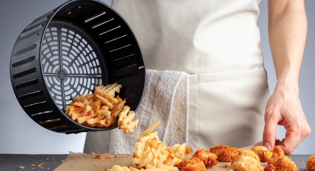 frites elma air fryer